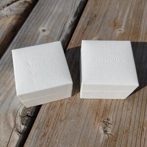 PANDORA BOX PAIR Pandora Charm Box Storage 15